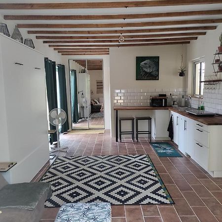 Appartement Chez Chapelle In The Heart Of The Gascony With Pool And Hot Tub à Auch Extérieur photo
