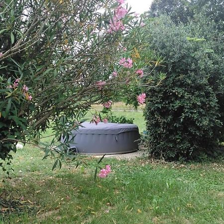 Appartement Chez Chapelle In The Heart Of The Gascony With Pool And Hot Tub à Auch Extérieur photo
