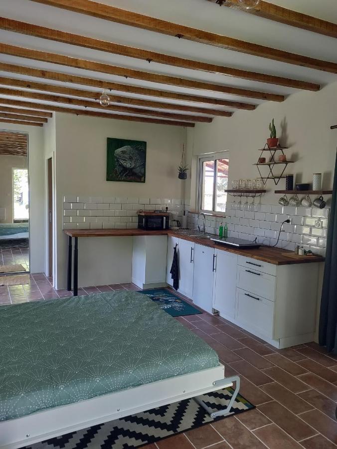 Appartement Chez Chapelle In The Heart Of The Gascony With Pool And Hot Tub à Auch Extérieur photo