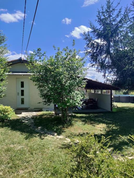 Appartement Chez Chapelle In The Heart Of The Gascony With Pool And Hot Tub à Auch Extérieur photo