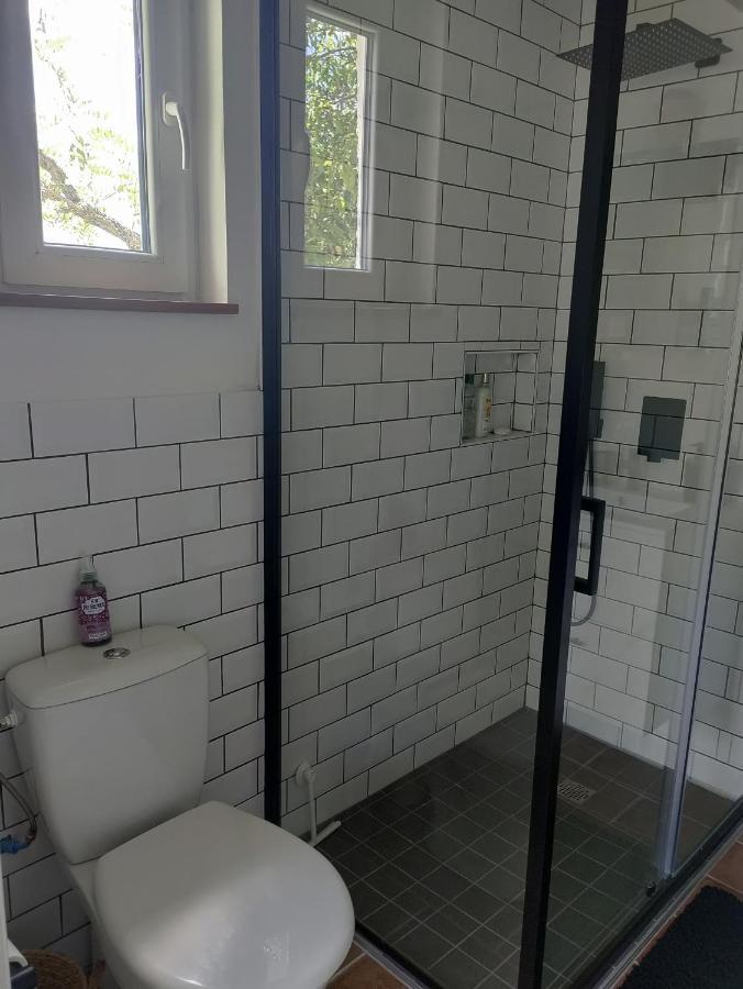 Appartement Chez Chapelle In The Heart Of The Gascony With Pool And Hot Tub à Auch Extérieur photo