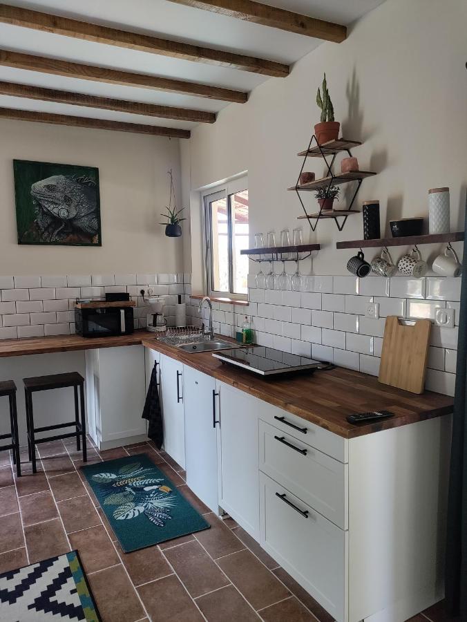 Appartement Chez Chapelle In The Heart Of The Gascony With Pool And Hot Tub à Auch Extérieur photo
