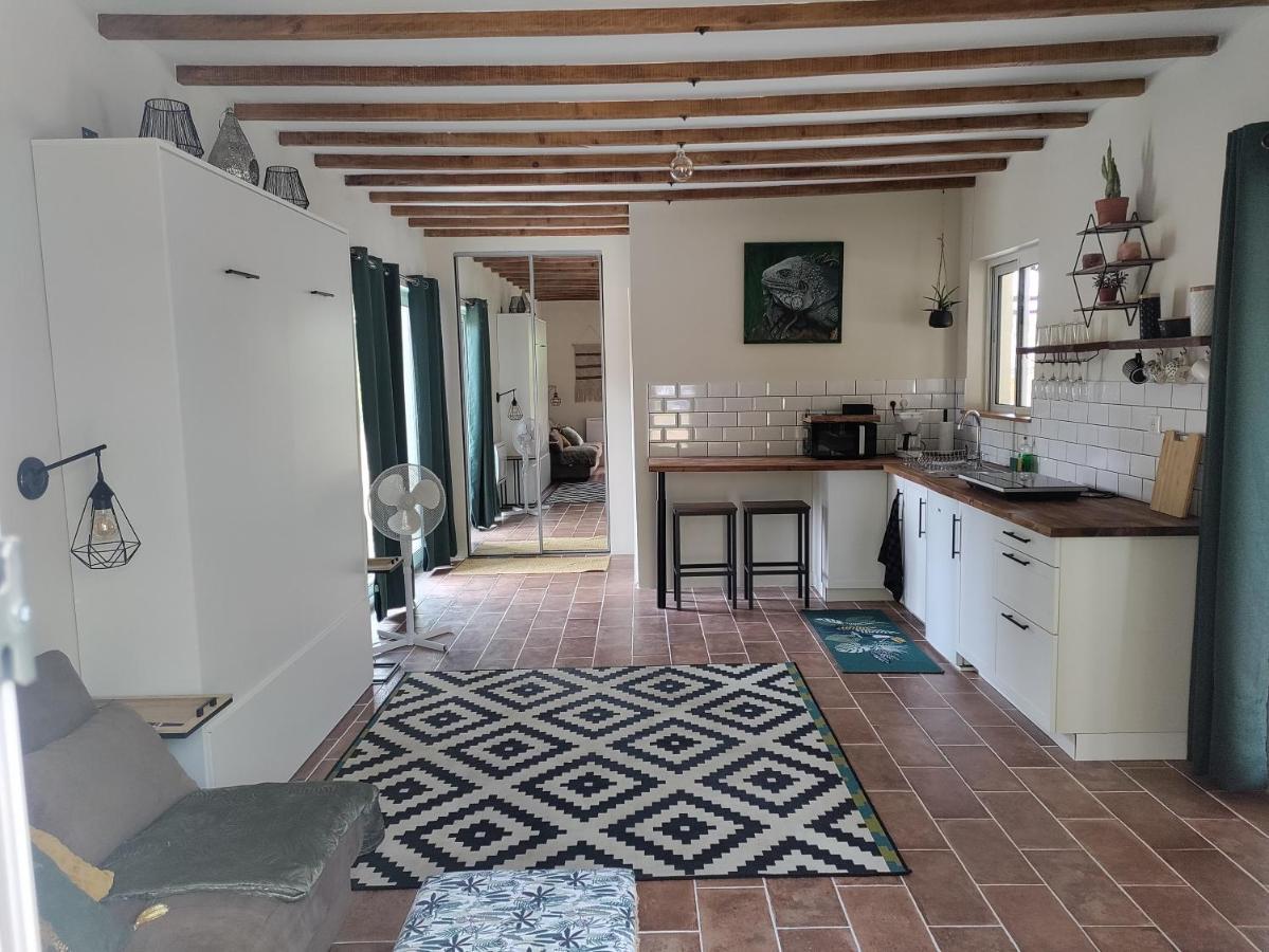Appartement Chez Chapelle In The Heart Of The Gascony With Pool And Hot Tub à Auch Extérieur photo