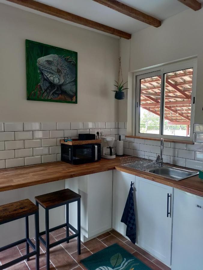 Appartement Chez Chapelle In The Heart Of The Gascony With Pool And Hot Tub à Auch Extérieur photo