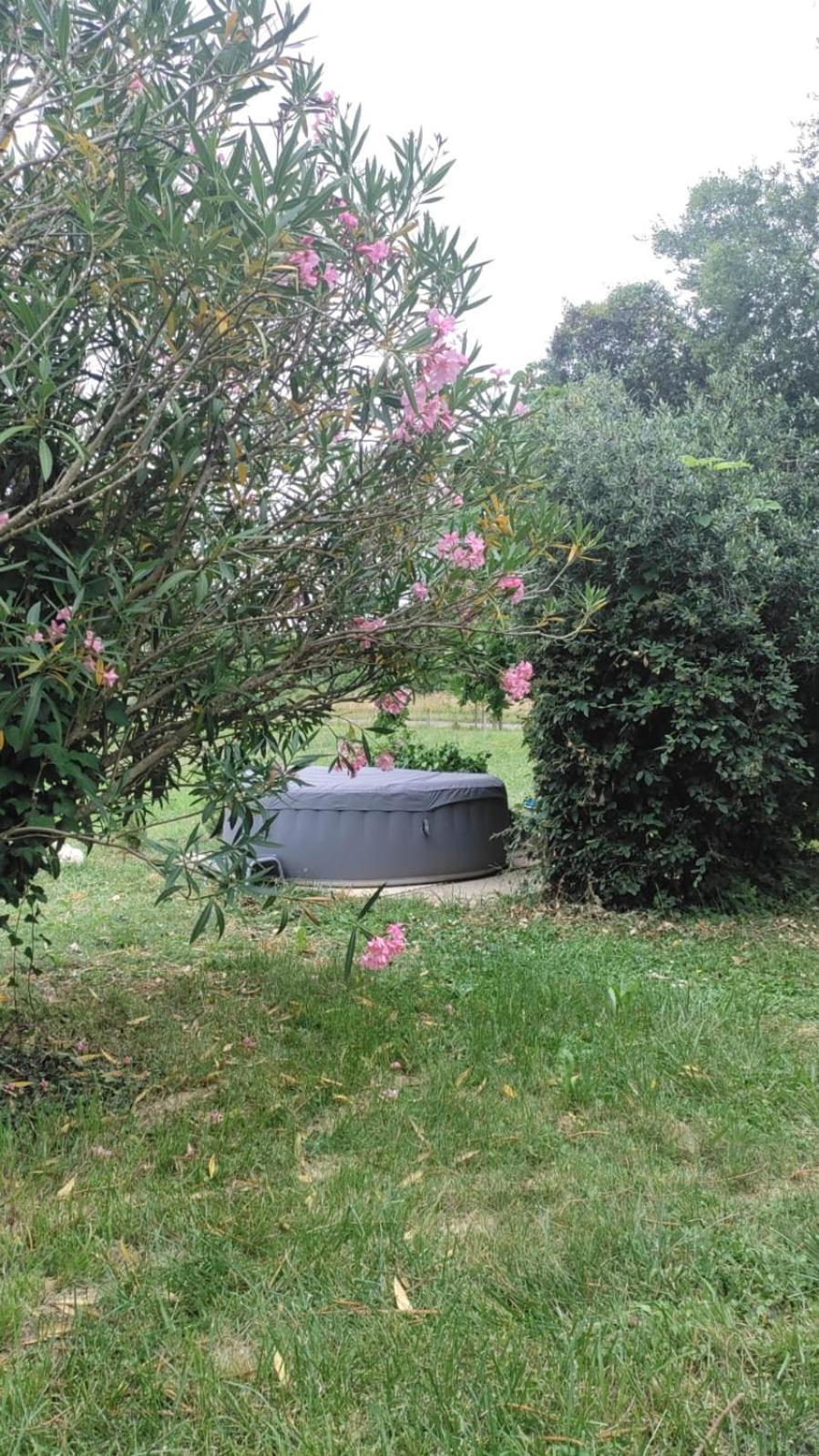 Appartement Chez Chapelle In The Heart Of The Gascony With Pool And Hot Tub à Auch Extérieur photo